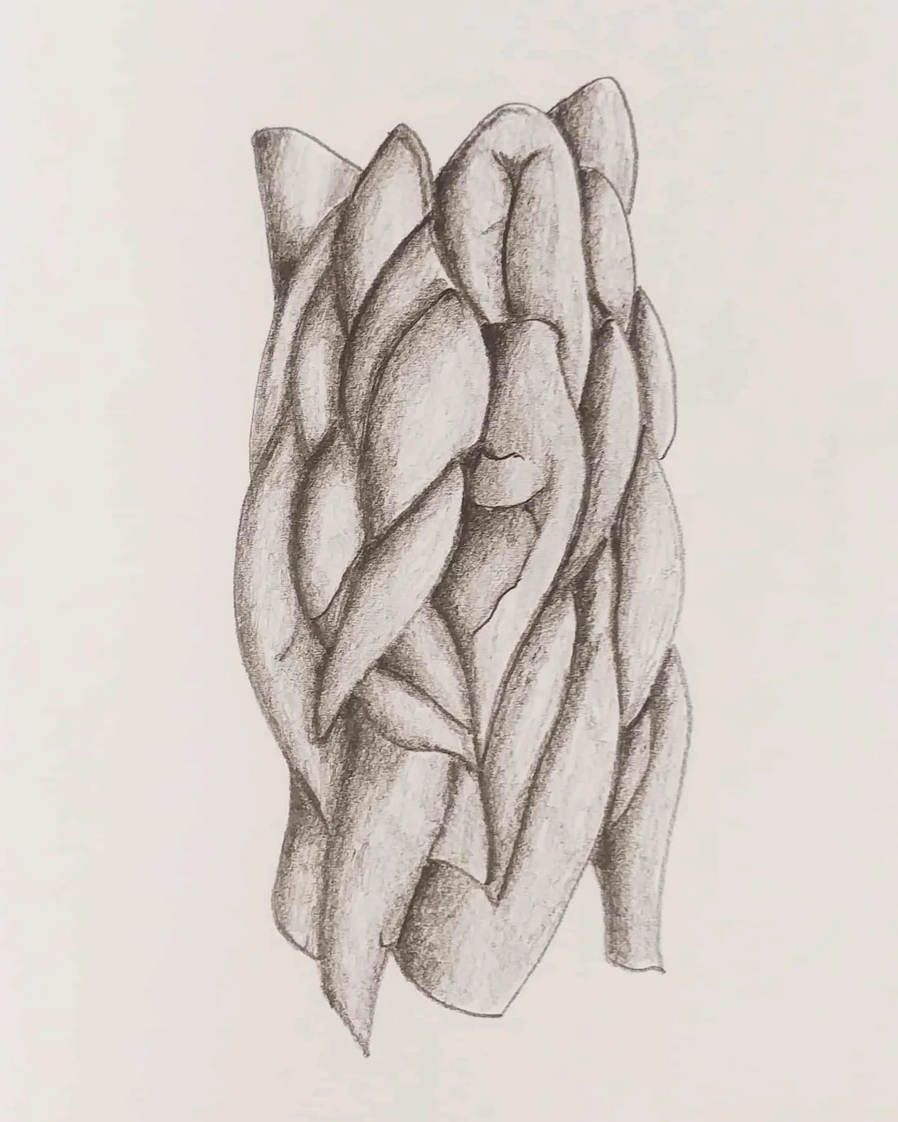 Disegno monocromatico di Massimo Castronuovo VI